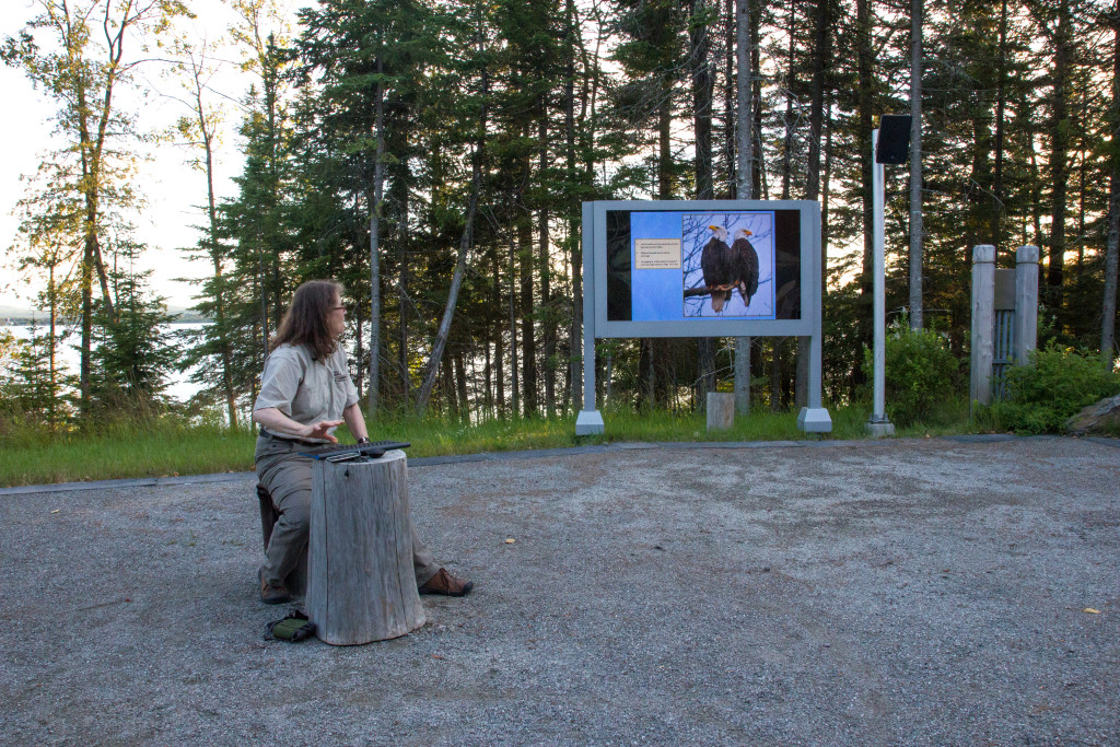 Parc national du Lac-Temiscouata - Atelier pygargue