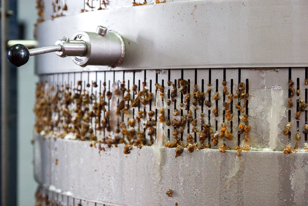 Pommes sous presse pour le cidre de glace