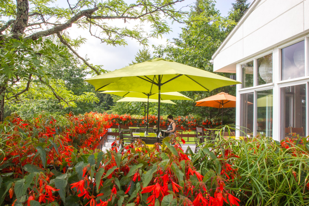 Terrasse ensoleillee du jardin botanique du Nouveau-Brunswick