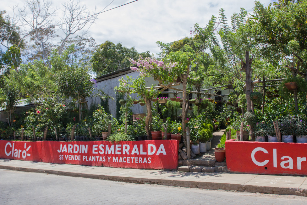 Jardin de Catarina - Pueblos Blancos