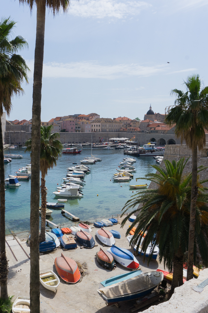 Palmiers et bateaux