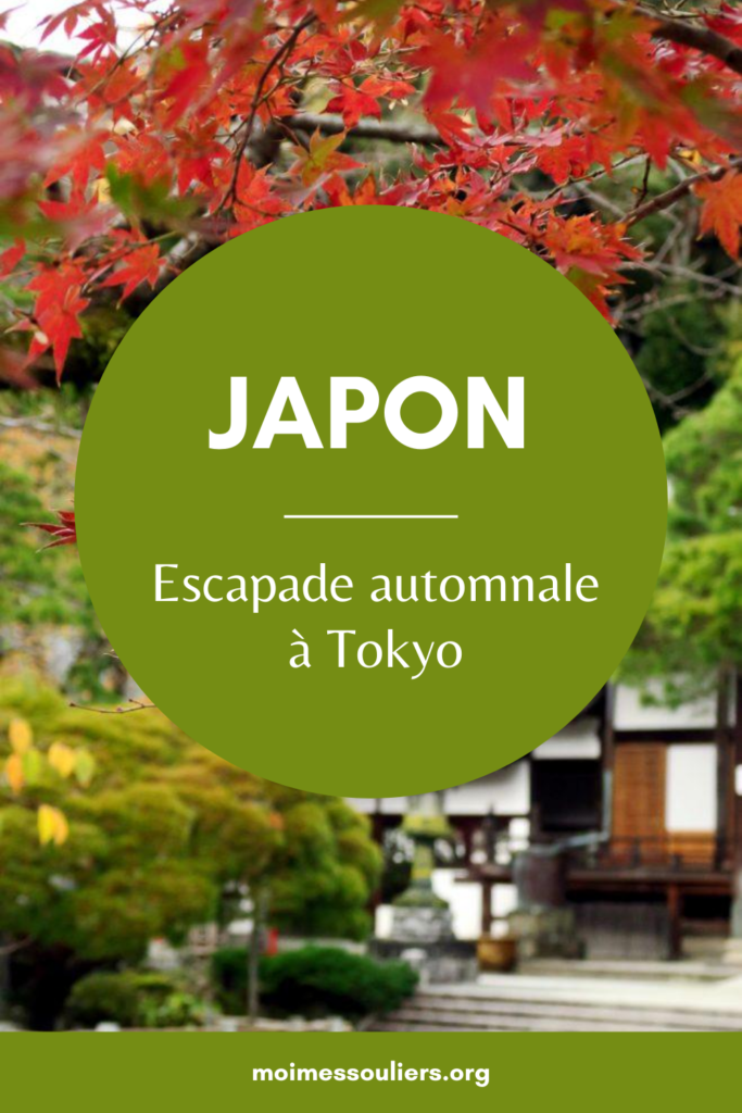 Escapade automnale à Tokyo Japon