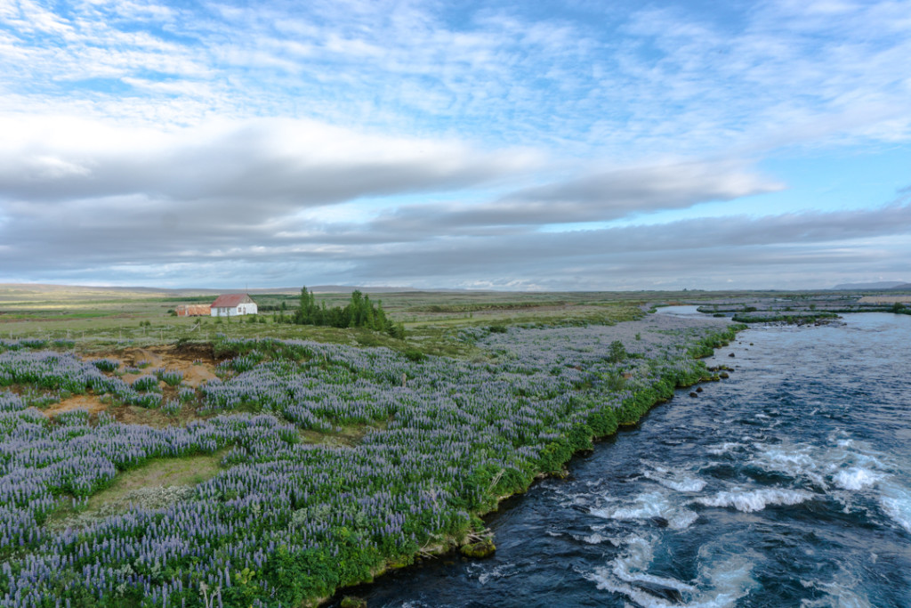 Cours deau et petite maison - Islande