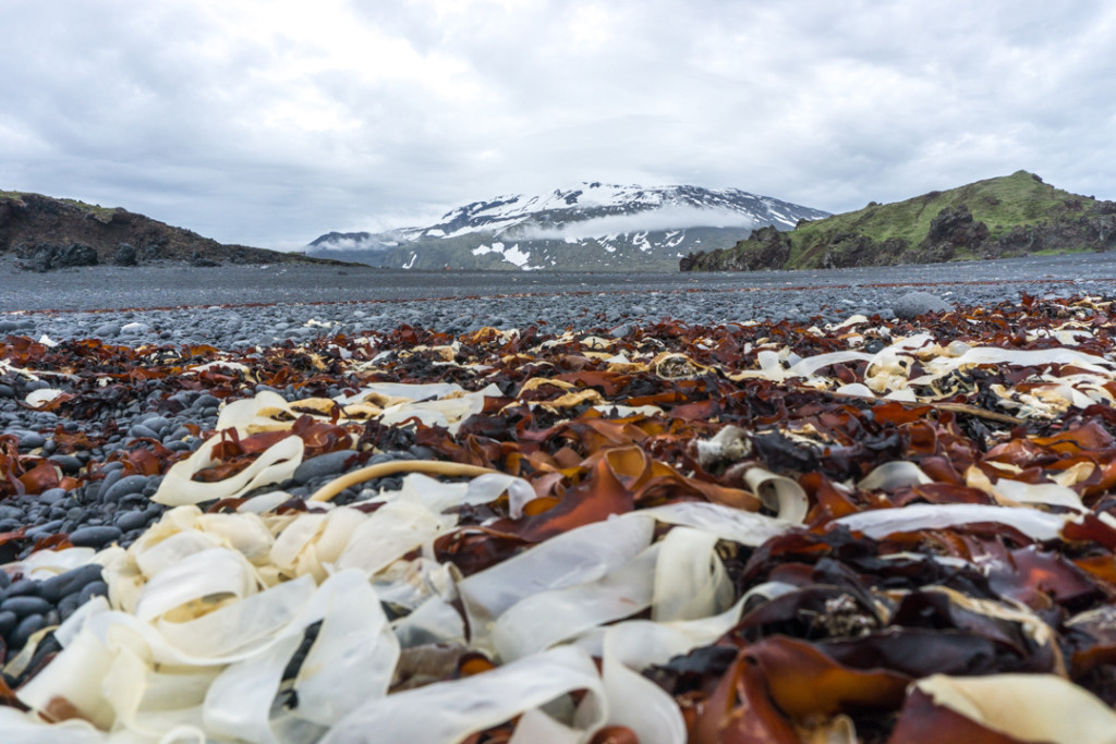 Djupalonssandur - Plage - Islande