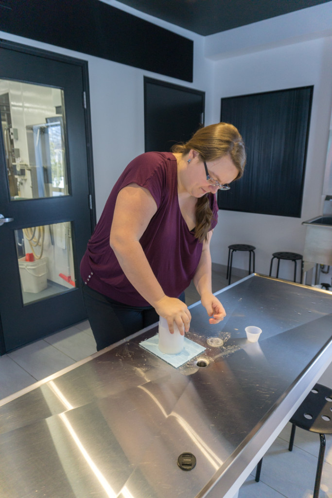 Quel fromage manger au Saguenay-Lac-Saint-Jean