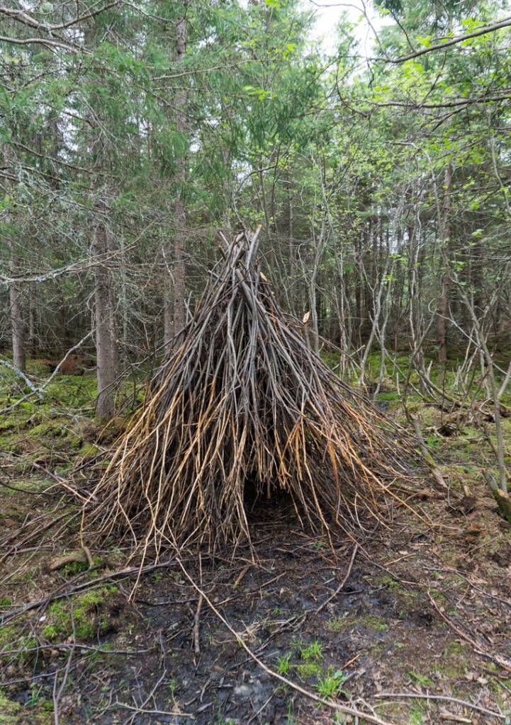 Refuge Pageau - Abitibi-Temiscamingue - Amos - Castors