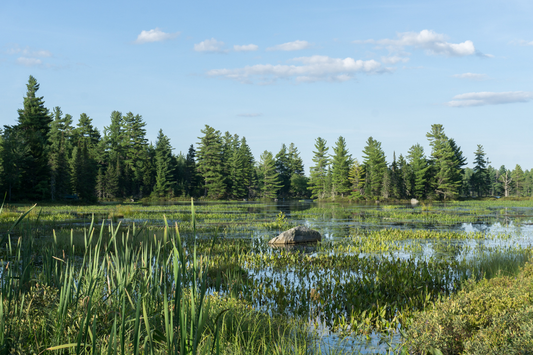 Lac a la Barbue - Parc national de Frontenac