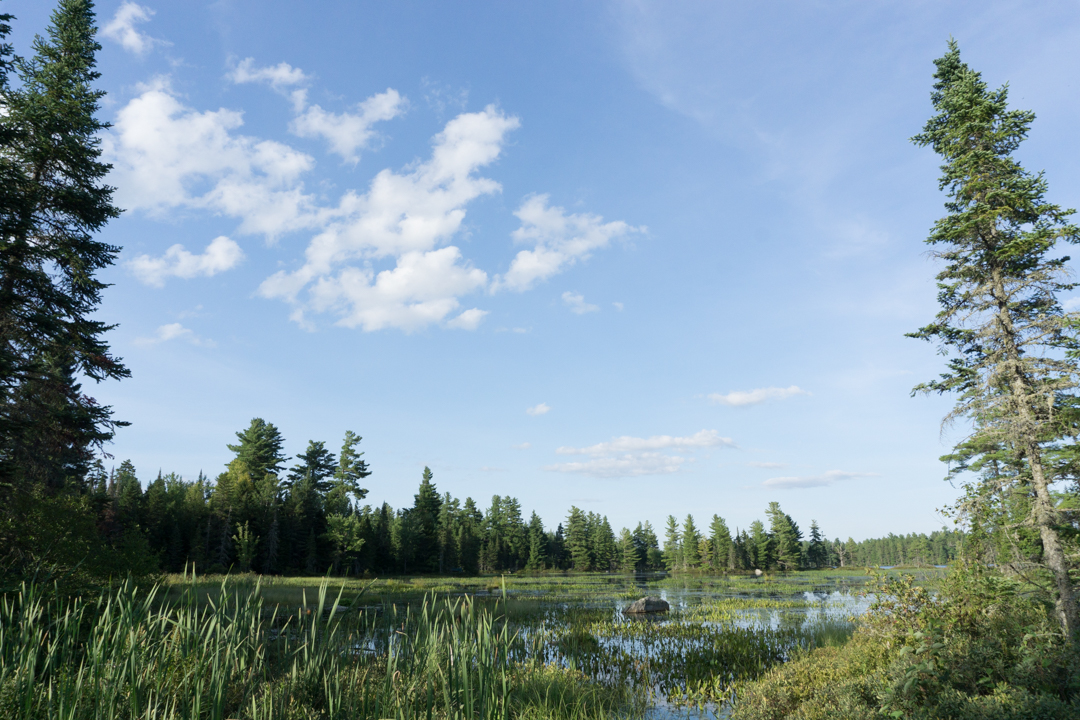 Marecage et lac a la Barbue