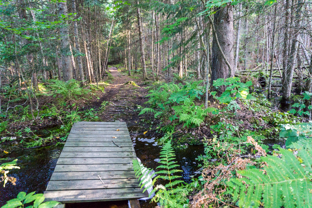 Sentiers de randonnee - Parc national de Frontenac