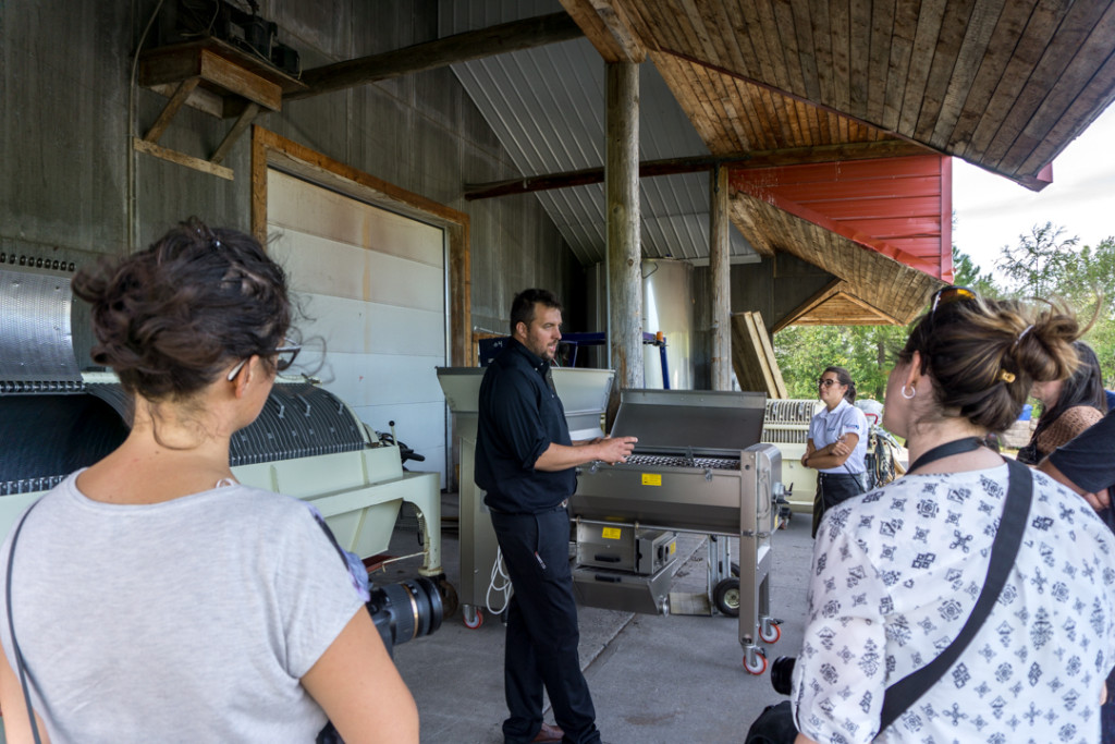 Visite guidée du vignoble Domaine De Lavoie