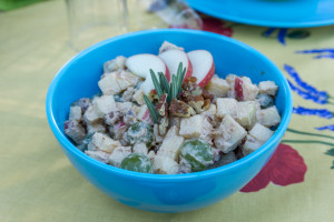 Salade de pommes - Verge Champêtre