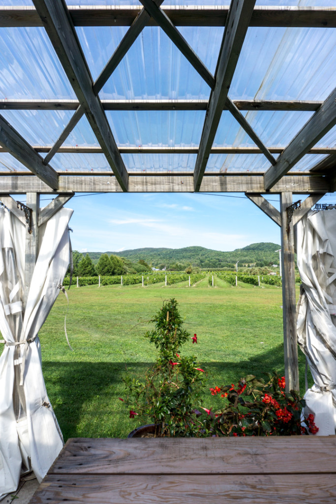 Vue spectaculaire sur le vignoble Domaine De Lavoie