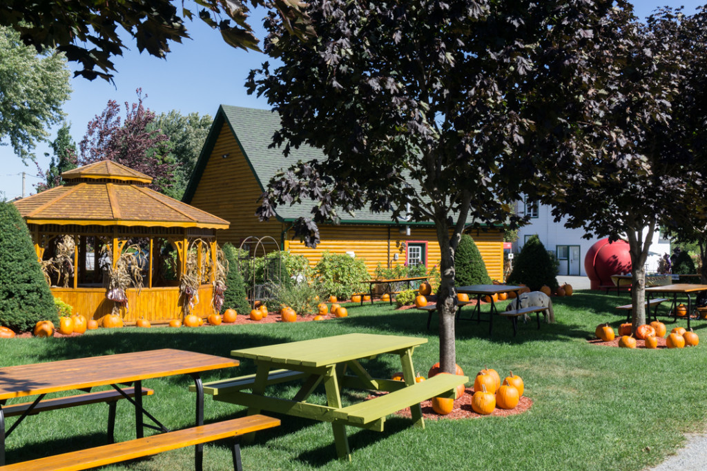 Sorties agrotouristiques en Montérégie