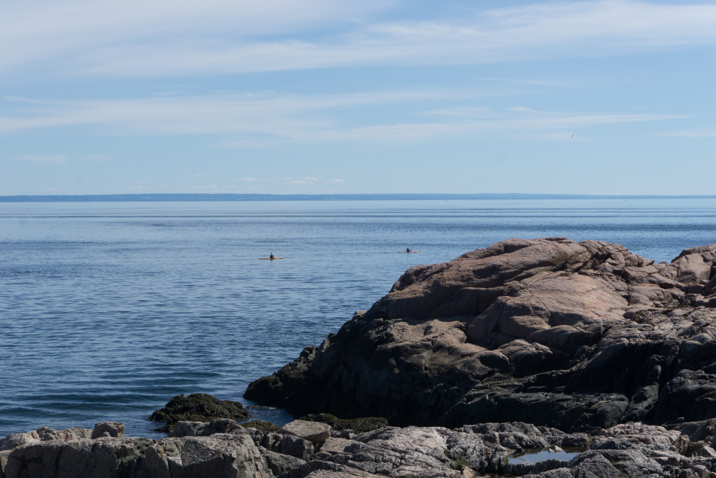 Baleines près du rivage à Tadoussac