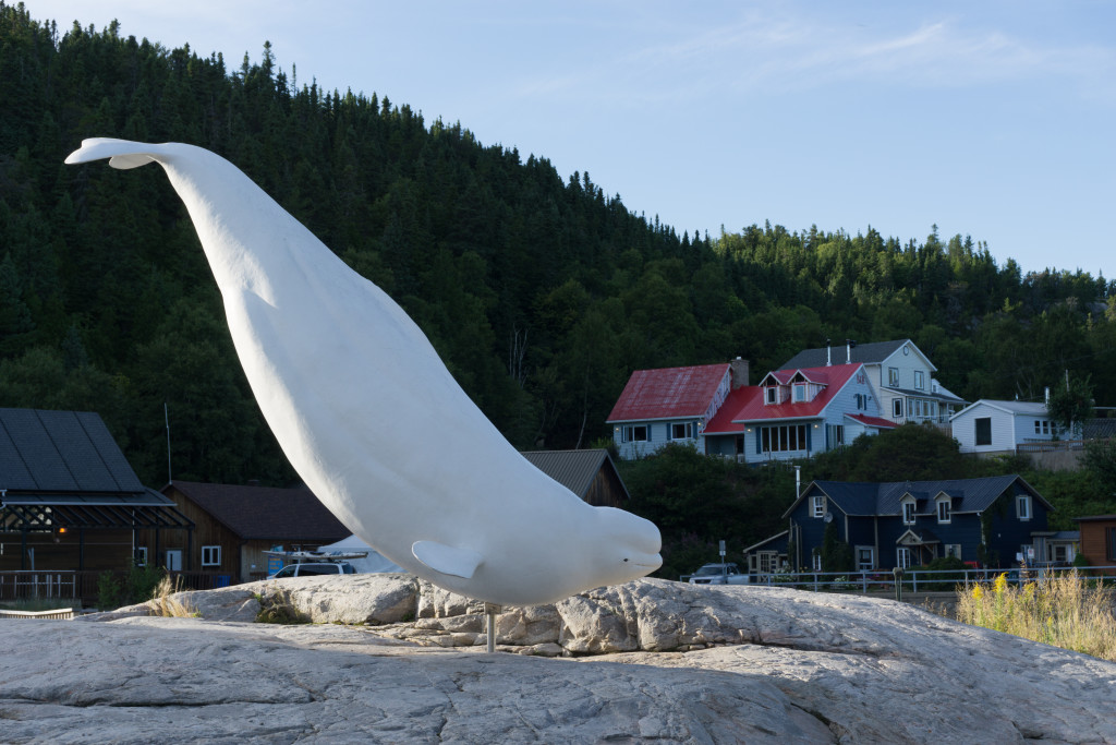 Centre d'interprétation des mammifères marins de Tadoussac