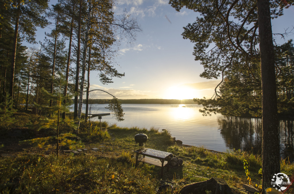 Jaala en Finlande - À voir en 2017