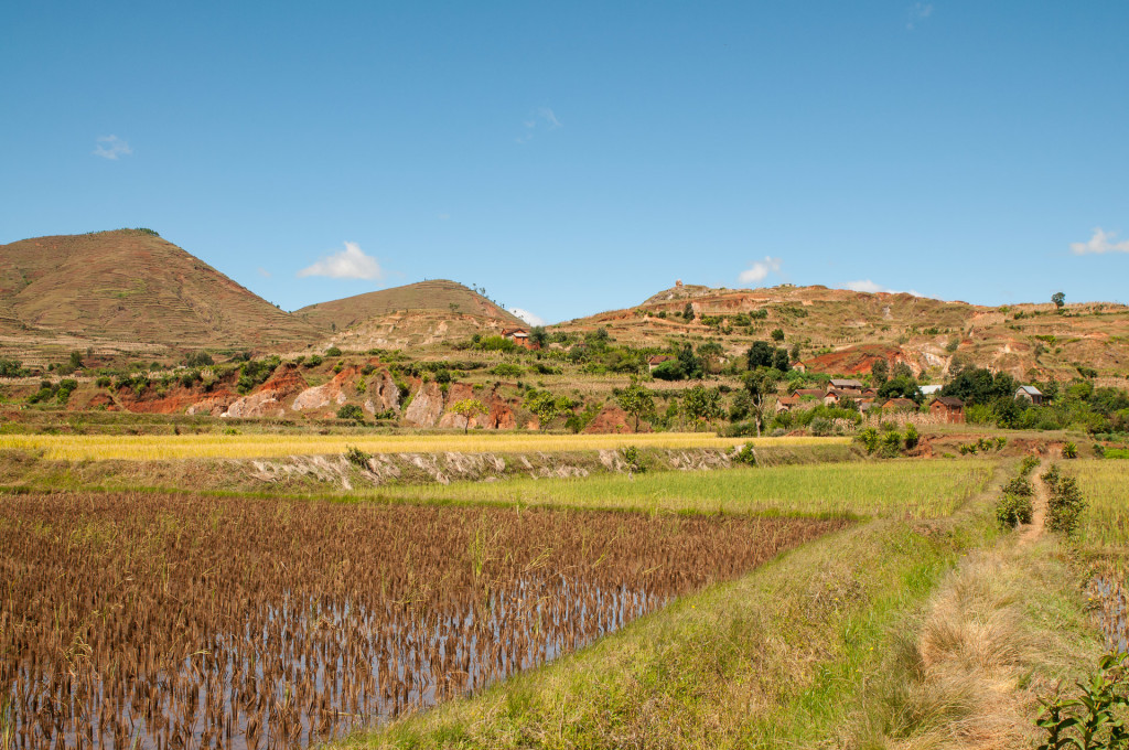 Bestafo Madagascar