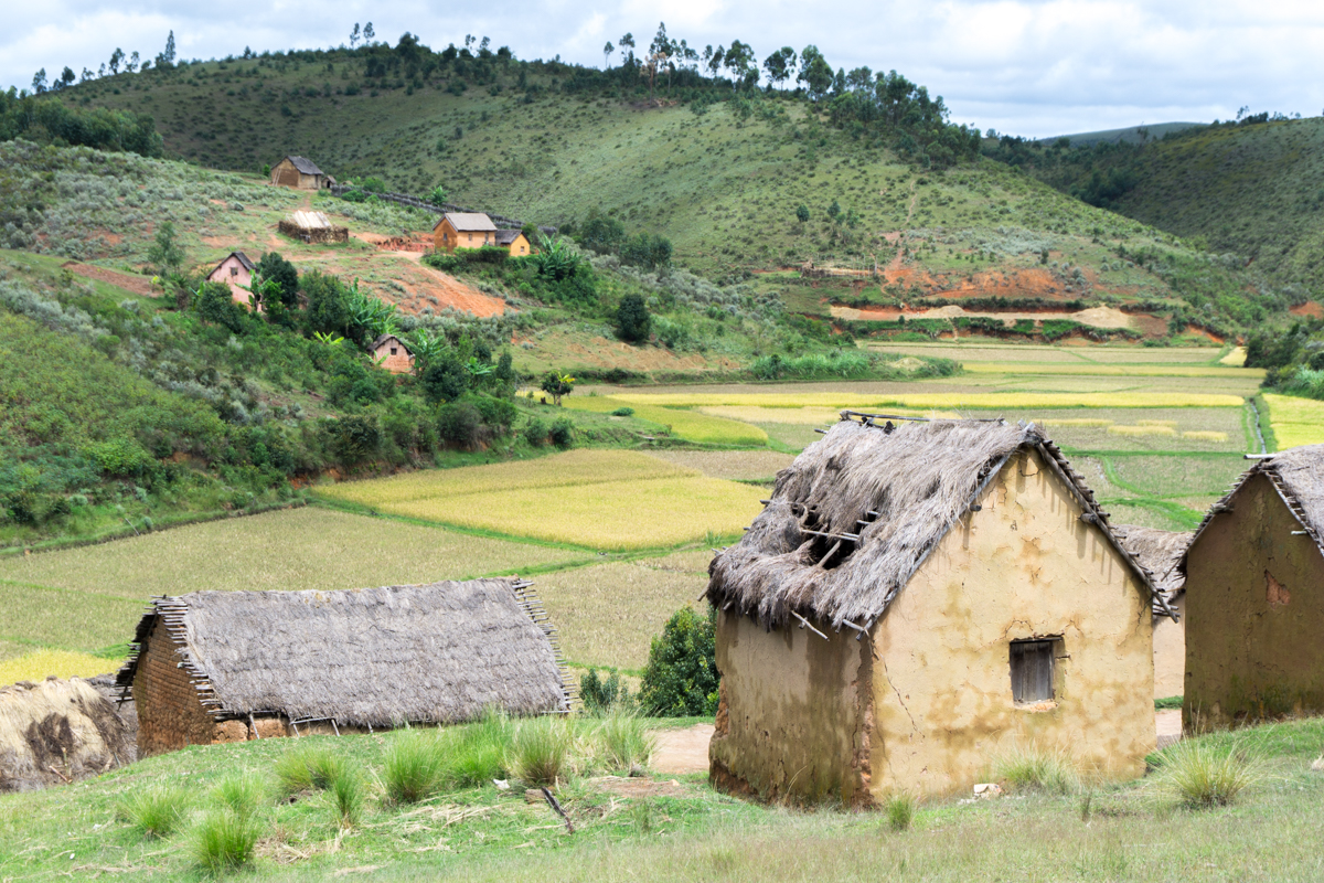 Village malgache avec multiples huttes à l'arrière-plan