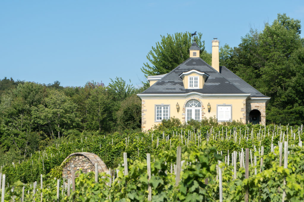 Domaine Vignoble Chapelle Sainte-Agnès