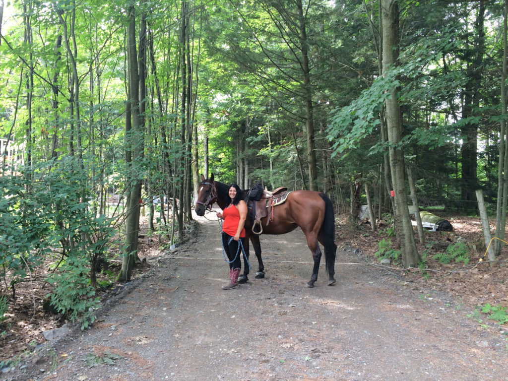 Équitation au Ranch Au Gré du Vent