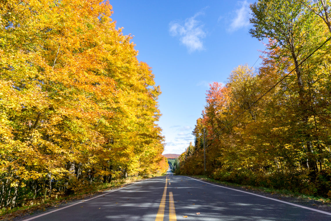 Route en automne - ligne jaune - Centre-du-Québec - Canada