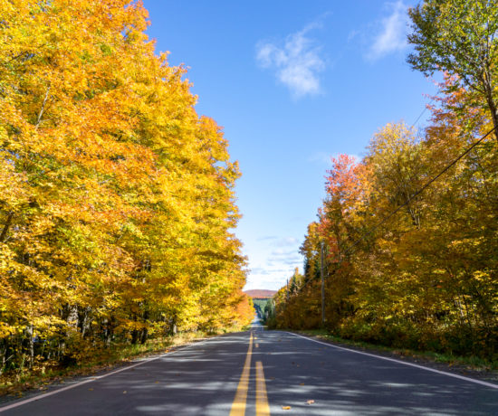 Route en automne - ligne jaune - Centre-du-Québec - Canada