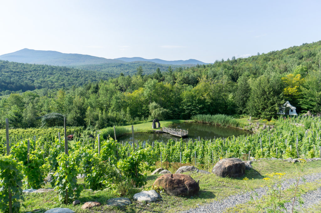 Sur la route des vins des Cantons-de-l'Est