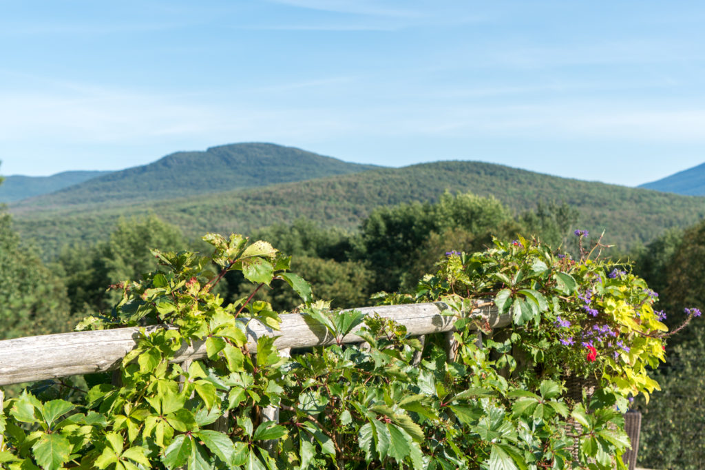 Vue de la terrasse du Vélo Volant dans les Cantons-de-l'Est