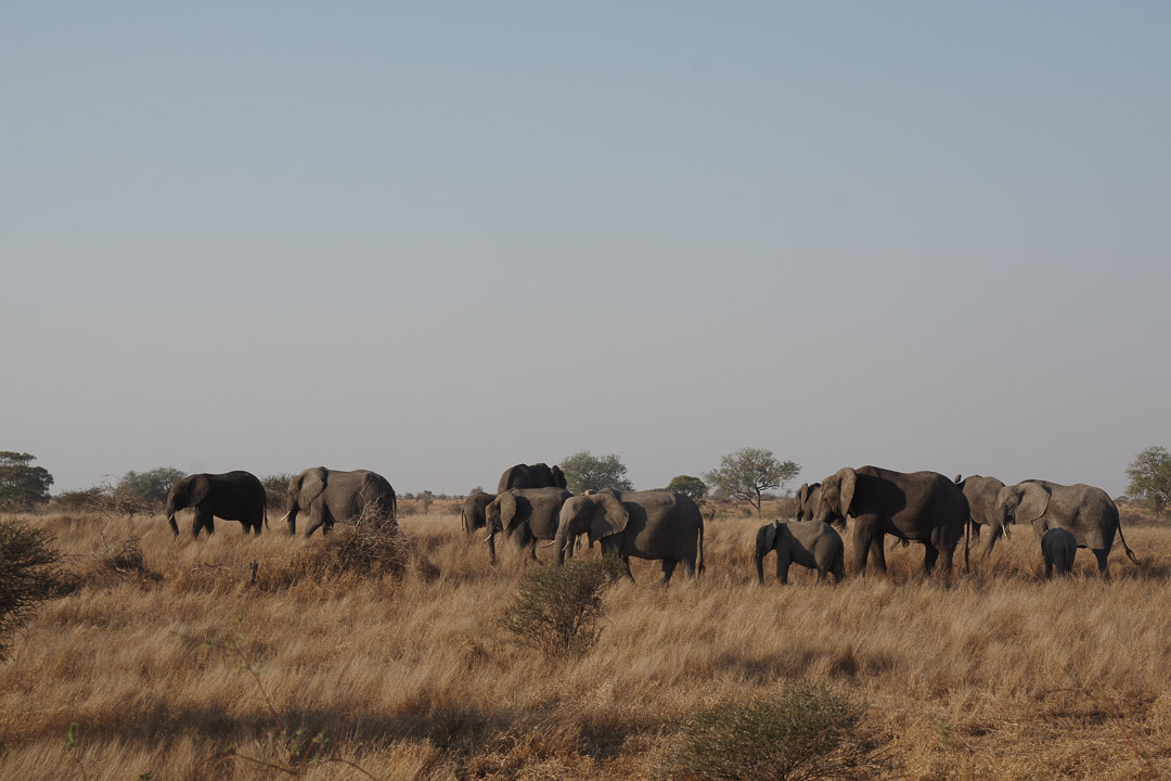 Afrique du Sud - Photo par Voyager en photos