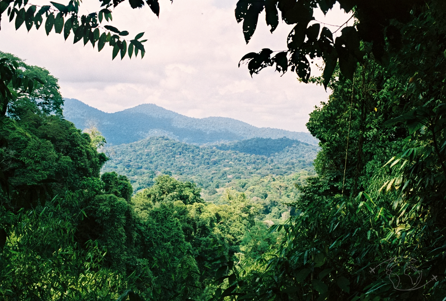 Guyane -Photo par Des yeux plus grands que le monde