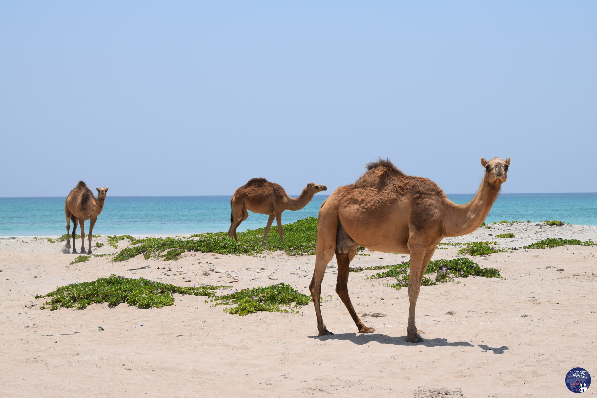 Oman - Photo par What made you happy today