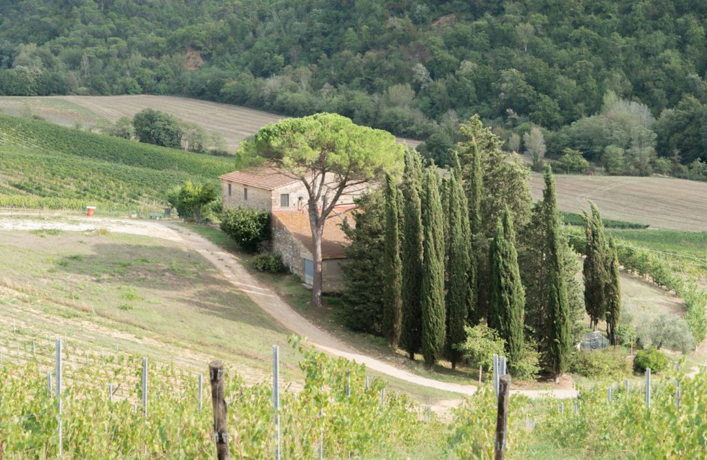 Acquapietra Guesthouse vu du vignoble