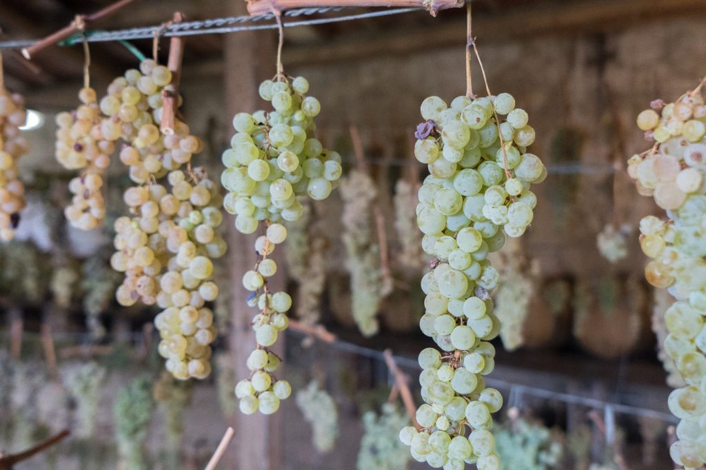 Comment produire du vin santo - Quoi boire en Toscane - Italie