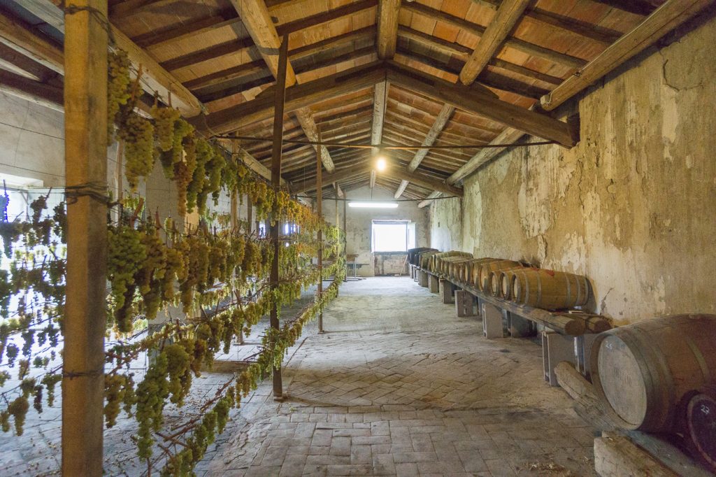 Intérieur de la grange d'un producteur de vinsanto toscan