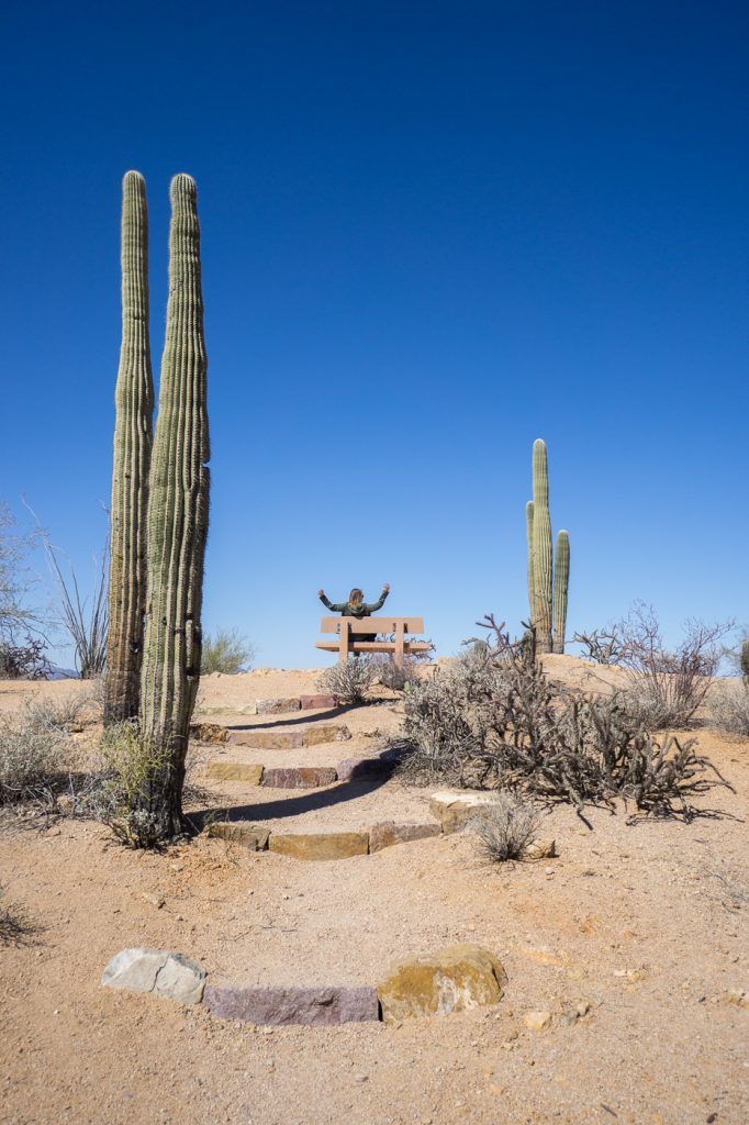 MC Globetrotteuse au sommet de la randonnée Saguaro National Park loop lookout