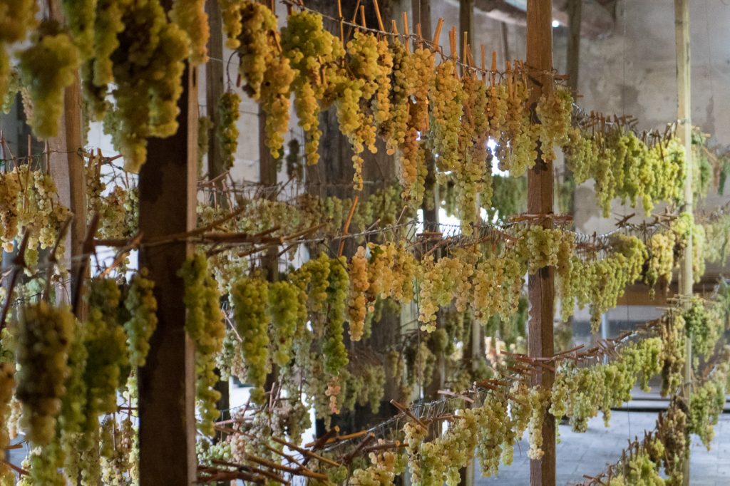 Que voir en Toscane - Vinsanto fait avec raisins blancs