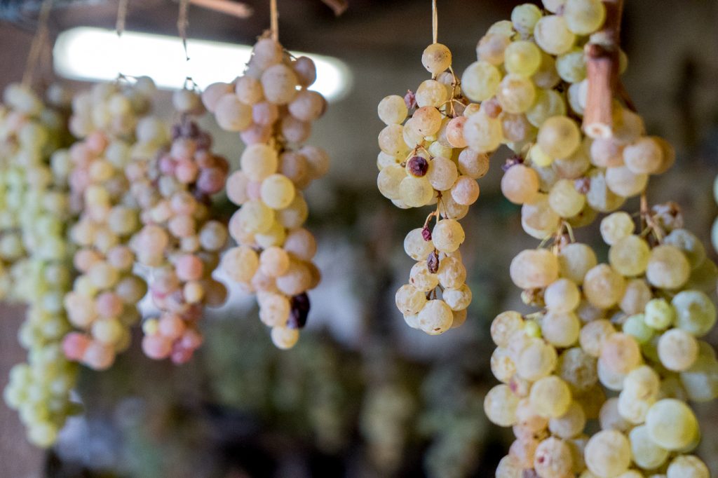 Raisins suspendus pour produire du vinsanto - À essayer en Toscane avec les cantuccini