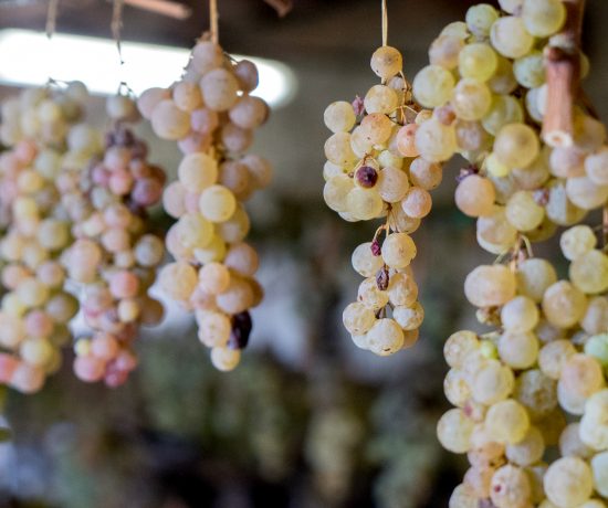 Raisins suspendus pour produire du vinsanto - À essayer en Toscane avec les cantuccini