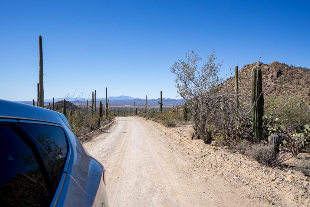 Roadtrip en Arizona - Vue du loop de Saguaro National Park