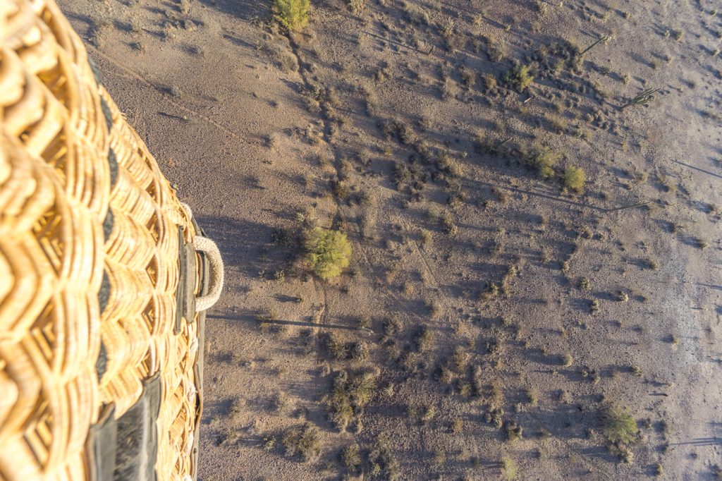 Sol vu de la montgolfière avec cactus