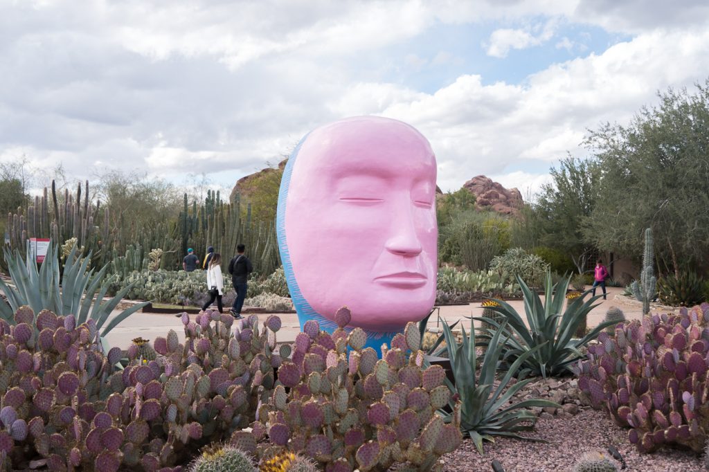 Quoi faire à Phoenix? Oeuvre d'art en masque dans le Desert Botanical Garden - Arizona