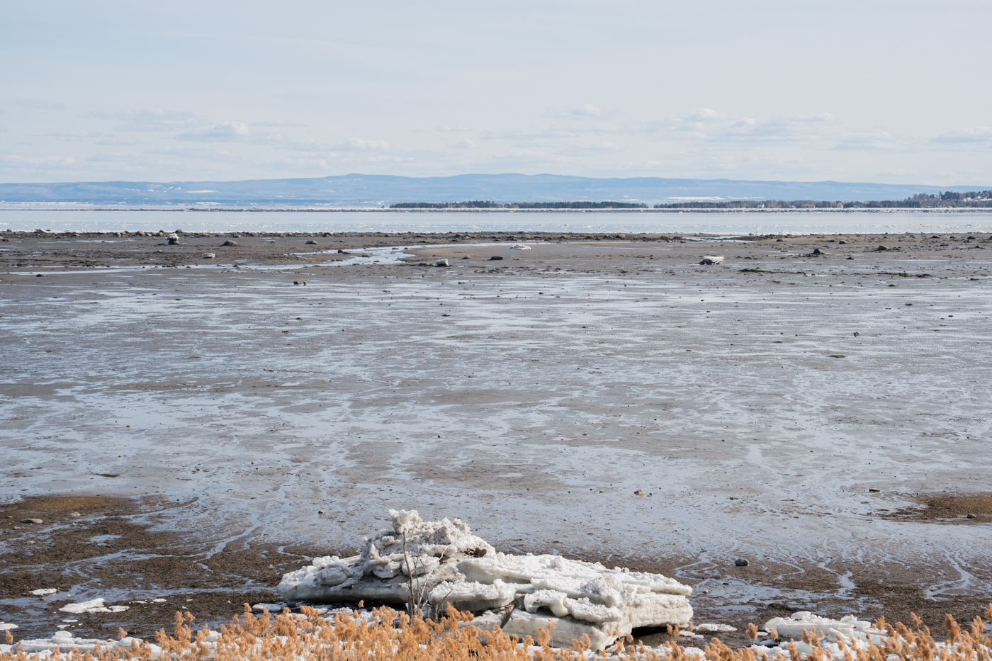 Bord du fleuve Saint-Laurent au Québec