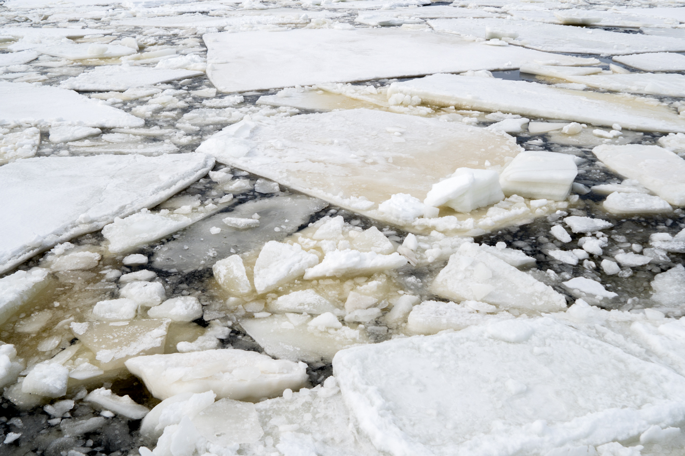 Glace flottant sur le fleuve