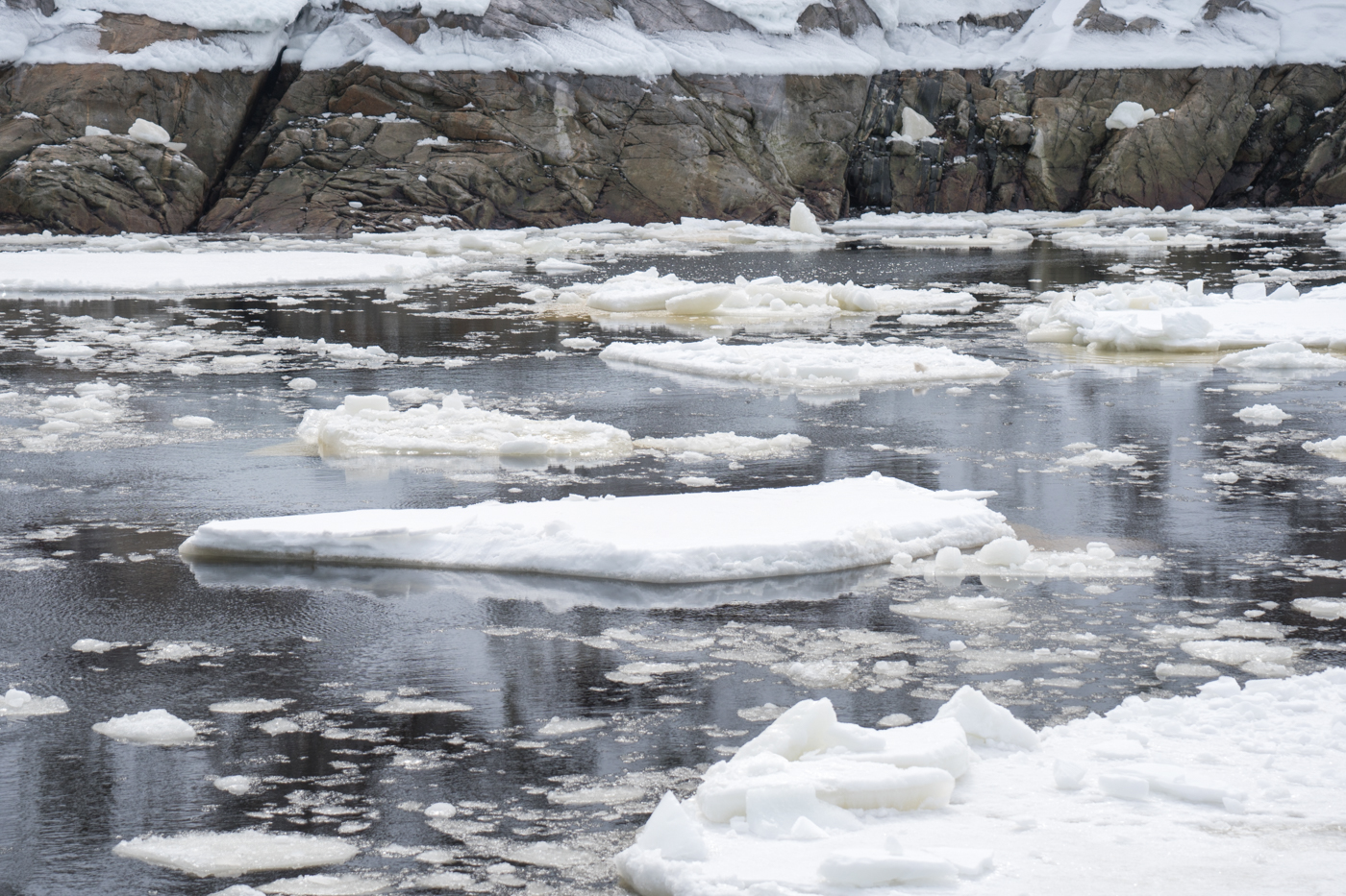 Morceaux de glace sur le fleuve