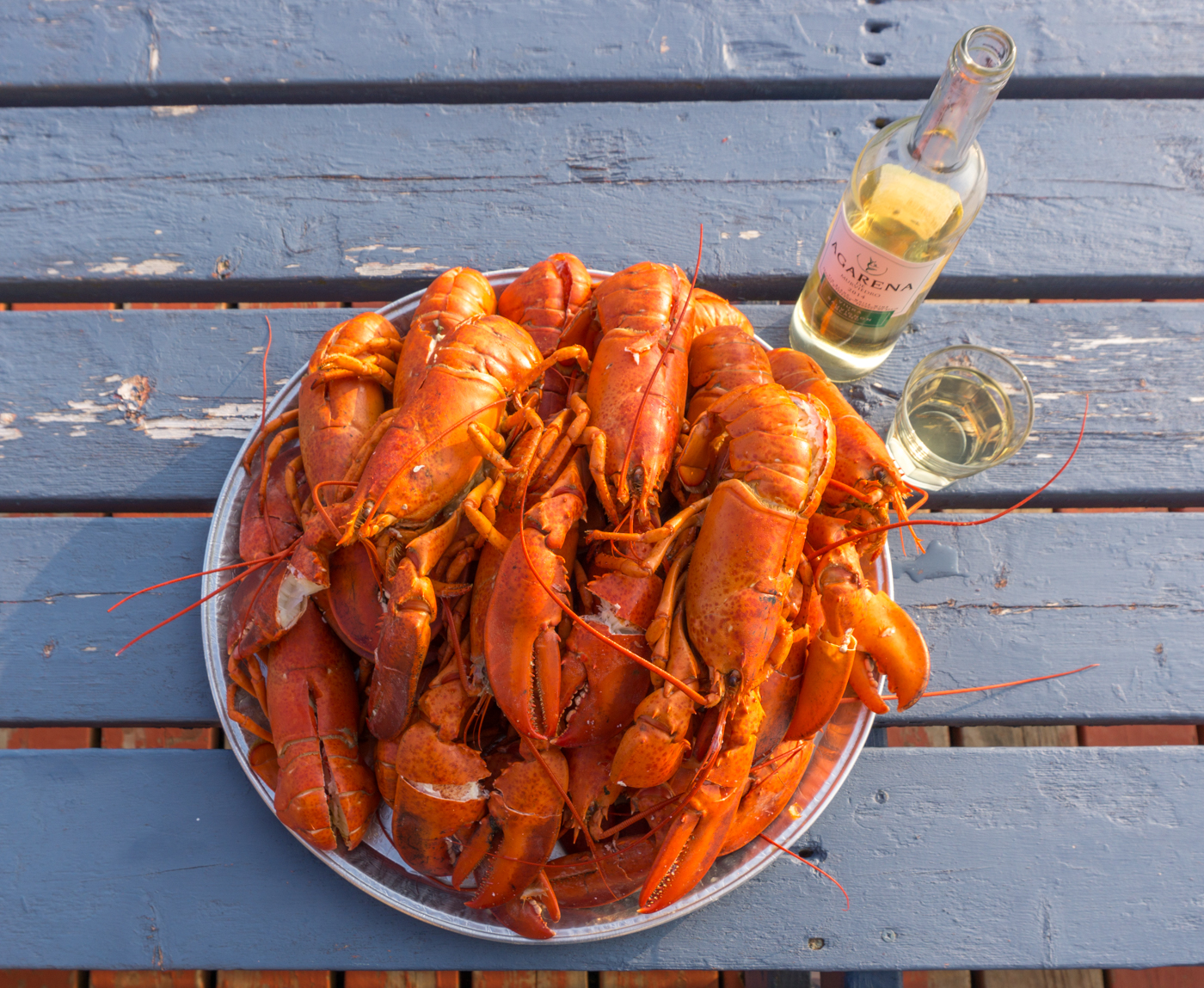 Butin de homard des îles de la Madeleine