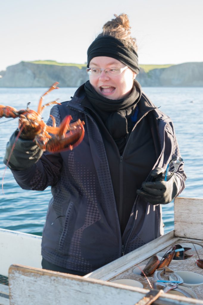 Jennifer en plein élastiquage de homard