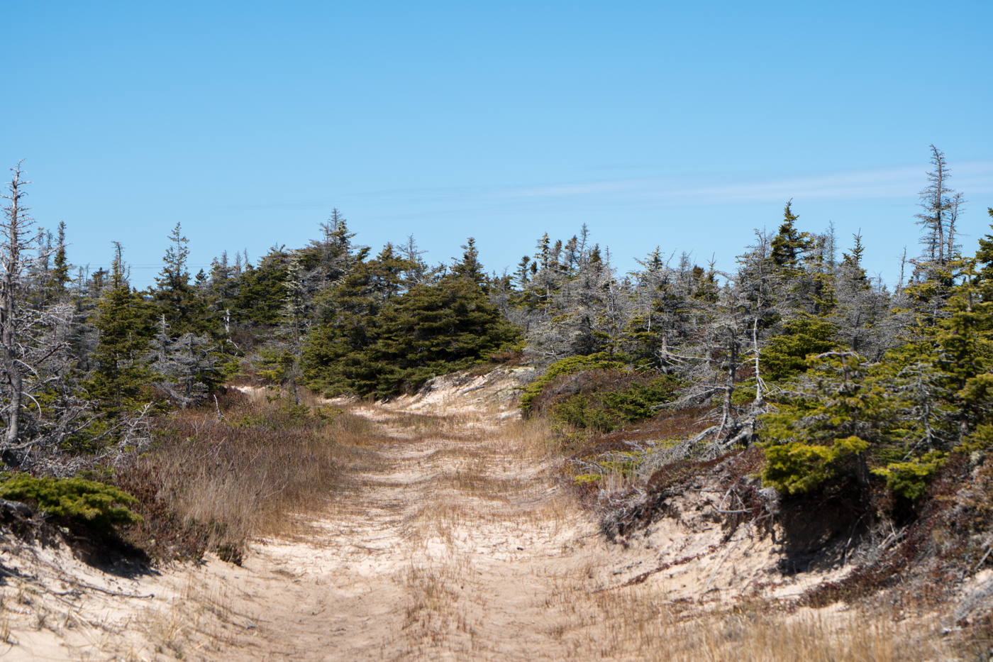 Sentier de l'eau douce à l'eau salée à la Pointe de l'Est - Grosse-Île-Grande-Entrée