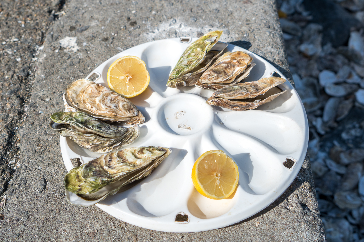 Huîtres fraîches et citron à manger à Cancale au bord de l'eau