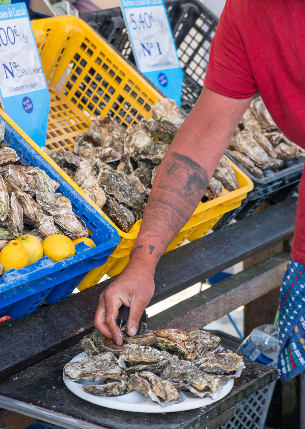 Bourriche d'huîtres de Cancale