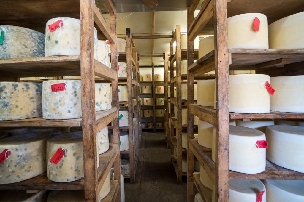 Étalages de fromage de Quickes Farm